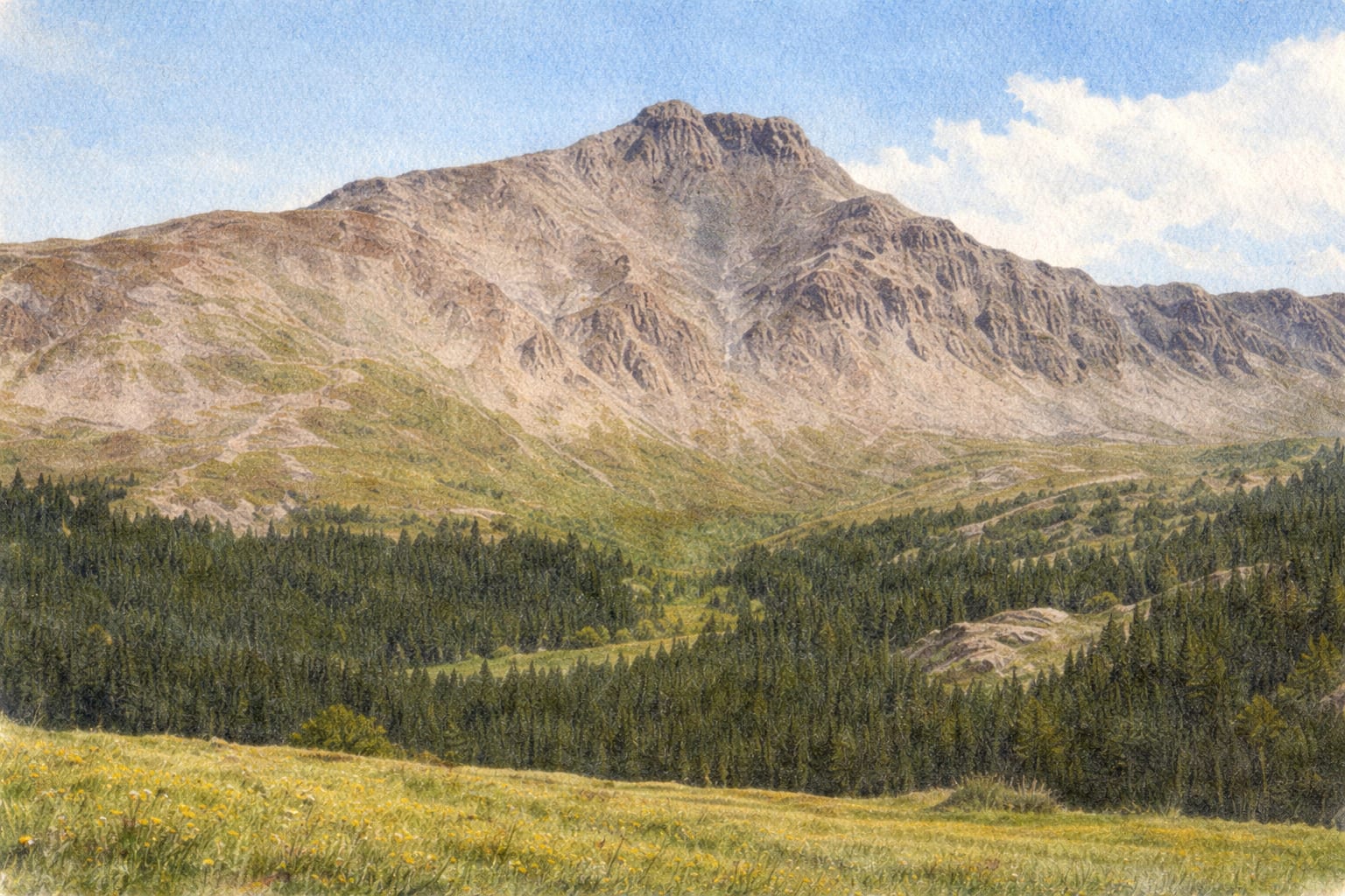 Mt. Harvard - Colorado 14er